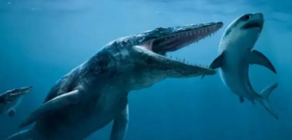 （9）眾說紛紜，那麼什麼才是真正的古代海洋霸主呢？