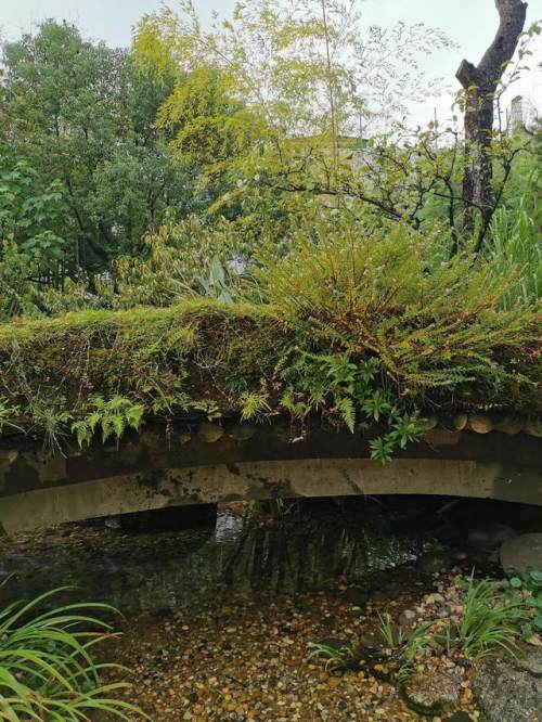 詠菊七絕三十首(30韻) 詠菊七絕三十首(30韻)