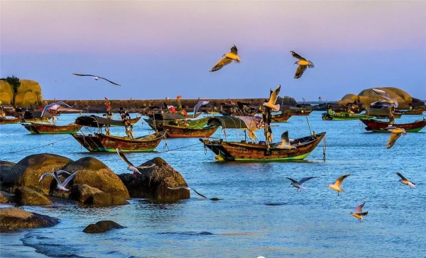 北海隔壁，廣西這座安逸老城！高鐵直達，嗦粉水果自由，早該火了