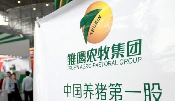 養豬第一股的覆滅史：侯建芳偷偷套現4.62億，雛鷹負債182億退市