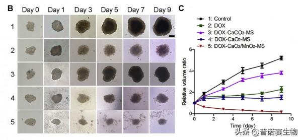 奈米抗腫瘤藥物新進展,有望成抗癌利器 奈米抗腫瘤藥物新進展,有望成抗癌利器