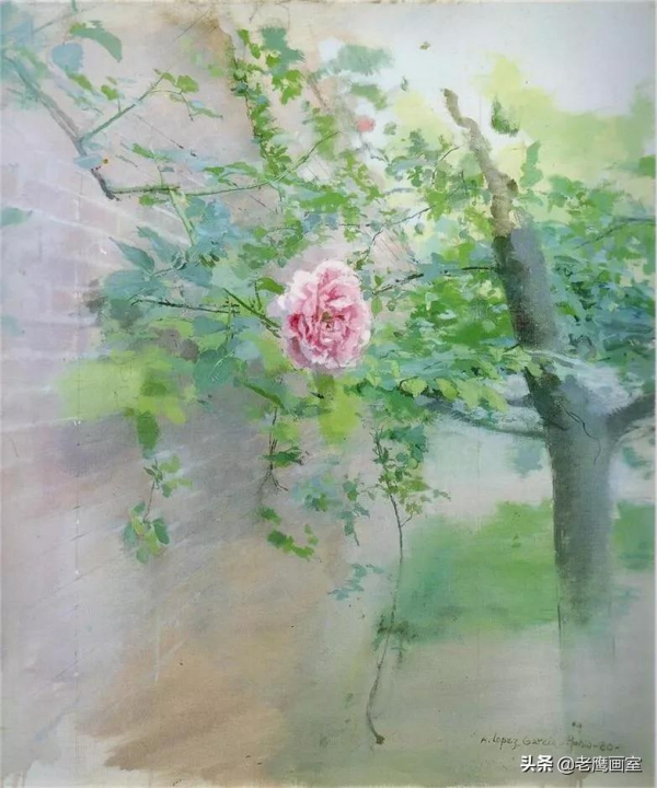 洛佩茲·卡西亞作品