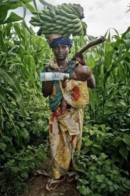 非洲二三事 非洲二三事