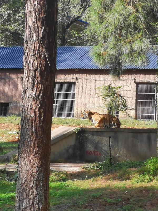 動物園：母女對話