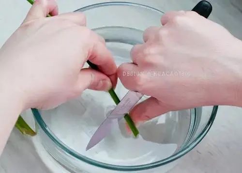 如何讓家中的鮮花更持久保鮮？試試看這幾種方法