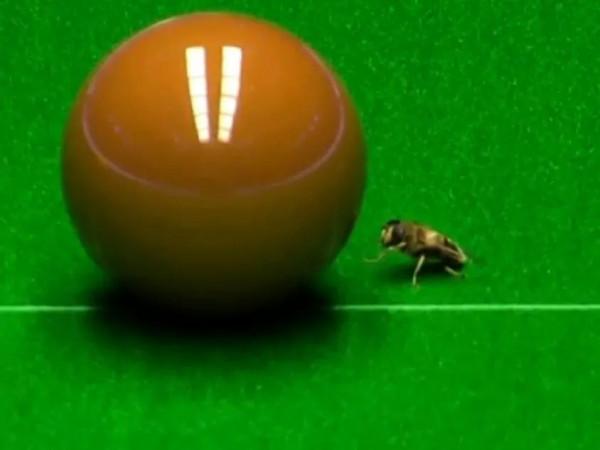 遺憾！2-0首局優先被馬叔神仙般逆轉