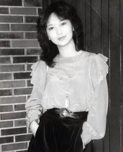 趙雅芝高畫質美圖2 趙雅芝高畫質美圖2