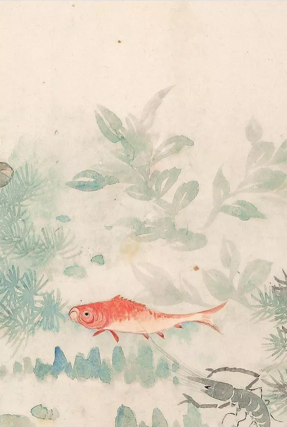 清代女子畫秋日荷塘,美醉了 清代女子畫秋日荷塘,美醉了