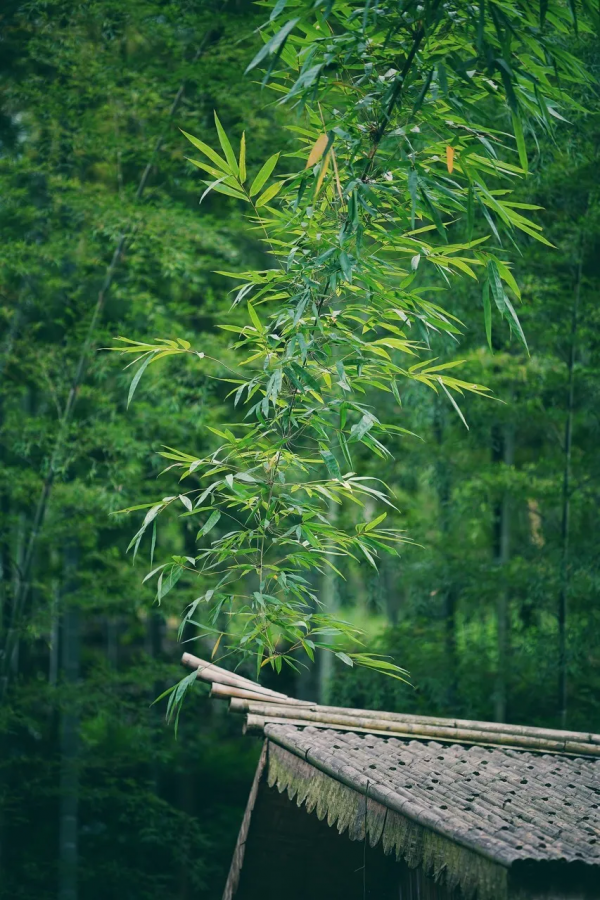 此生必去的35個最美旅行地,適合旅行的季節,你去過幾個? 此生必去的35個最美旅行地,適合旅行的季節,你去過幾個?