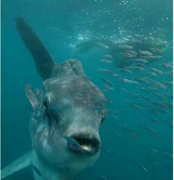 長白山天池被煮開了，湖水莫名沸騰，湖底火山已經甦醒了嗎？