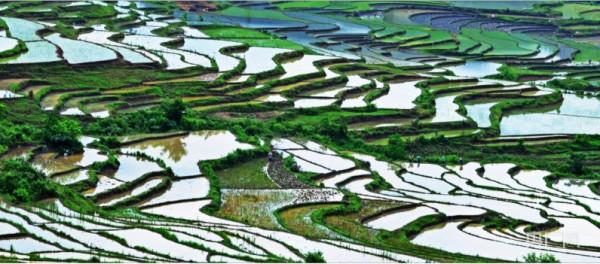 貴州鎮寧弄染村:紅色文化“火”了紅色村莊 貴州鎮寧弄染村:紅色文化“火”了紅色村莊