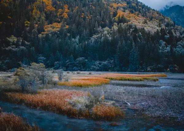 國慶長假去哪兒？這9個地方秋光乍洩，美到勾魂