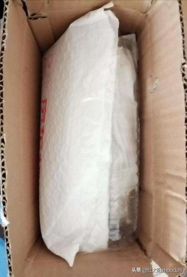 第一次給條友郵遞菊花苗，也還行？