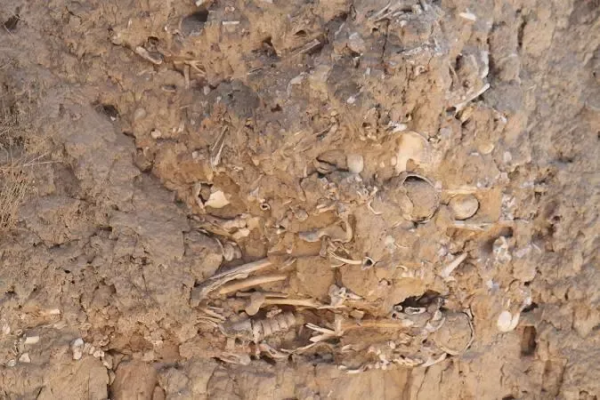 七萬露在荒野的白骨改寫了四個王國和華夏曆史，稷山玉璧古城