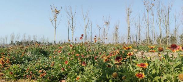 氣候，真的出現反常了嗎？