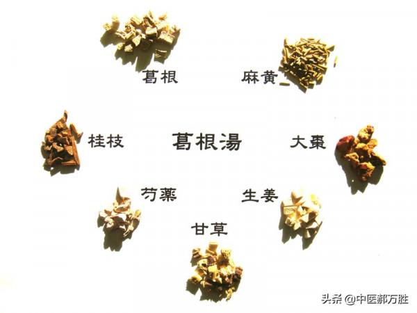 郝大夫說葛根:保護心腦血管,養肝護肝!作用全面的中藥本草 郝大夫說葛根:保護心腦血管,養肝護肝!作用全面的中藥本草