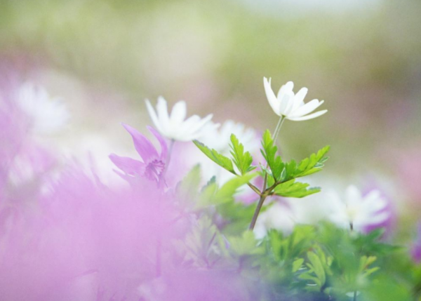 未來十天,4個星座,身兼重任,為家奮進,憑努力博取幸福 未來十天,4個星座,身兼重任,為家奮進,憑努力博取幸福