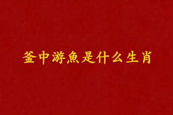 釜中游魚是什麼生肖