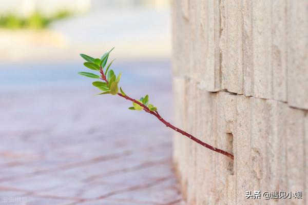 只要還活著,生活就要繼續下去 只要還活著,生活就要繼續下去