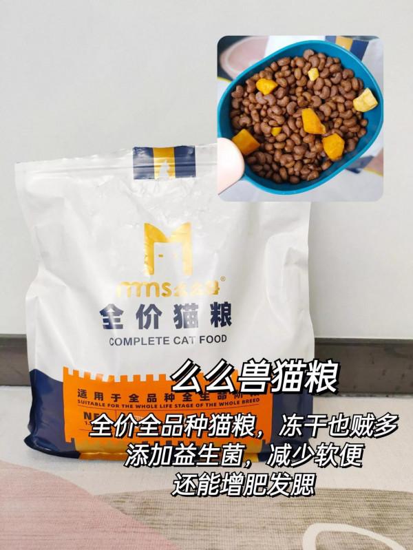 新手如何低成本養貓！貓糧選擇篇