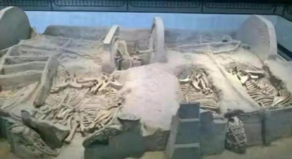 華夏文明到底是起源於哪裡？