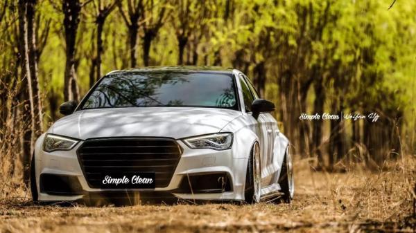 生存在奧迪S3光芒下的A3，改裝過後也有自己的世界！