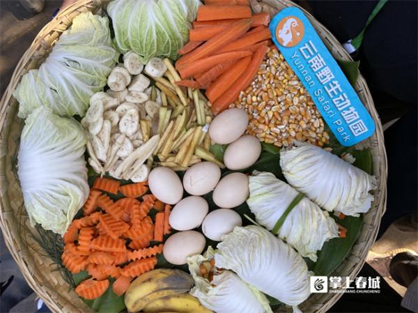 福虎迎新年 雲南野生動物園硬核&OpenCurlyDoubleQuote;年夜飯&rdquo;上菜啦