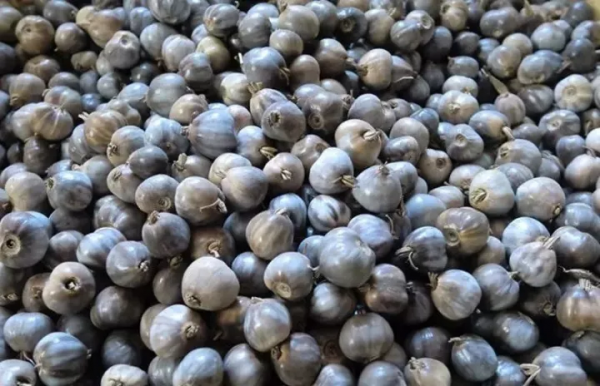 已經被遺忘的菩提，包漿、開片效果都很完美