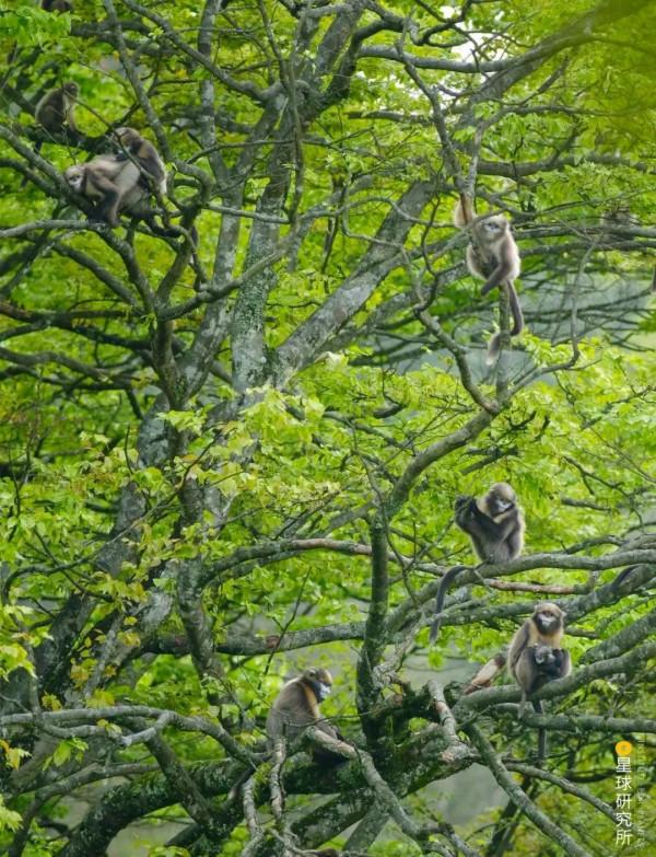 走,去大西南! 走,去大西南!