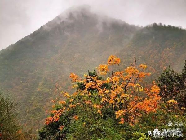 茶山紅旗渠--龍王千步梯，大羅山這條驢線你走過嗎？