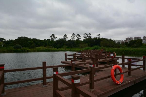 坪山印象（12）