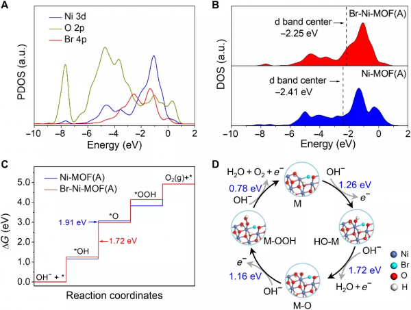樓雄文Science Advances:Br-Ni-MOF空心稜柱在OER中的原位活化 樓雄文Science Advances:Br-Ni-MOF空心稜柱在OER中的原位活化