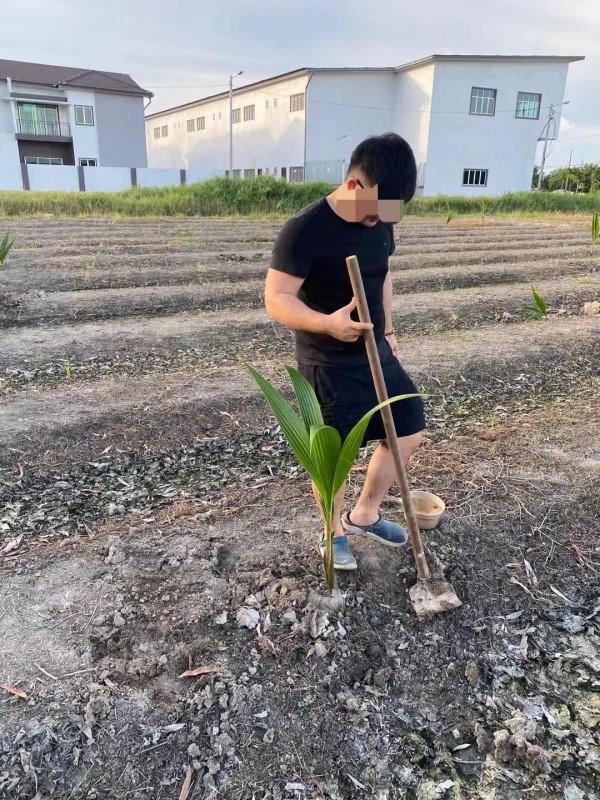 在馬來西亞小鎮的華人家中,我見識了與國內截然不同的育兒方式 在馬來西亞小鎮的華人家中,我見識了與國內截然不同的育兒方式