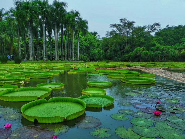 Lonely Planet年度榜單:2022十大最佳旅行地區 Lonely Planet年度榜單:2022十大最佳旅行地區