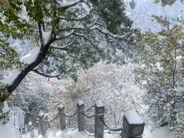 盛世美顏！終南山初雪似仙境