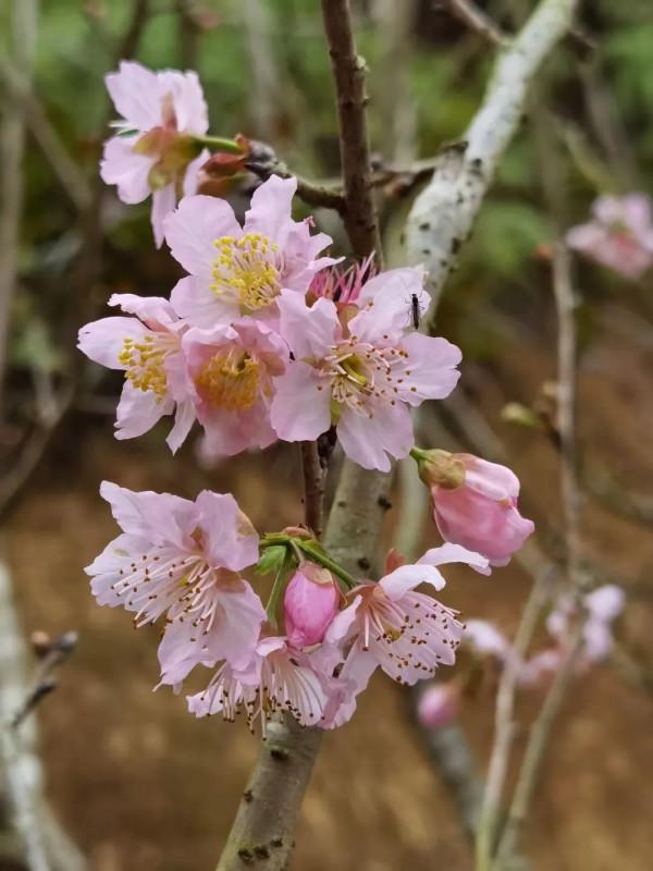 朋友圈2022年第7期｜&vert;好山好水