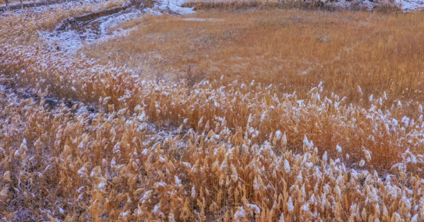 絕美雪景!每一張都驚豔到你→ 絕美雪景!每一張都驚豔到你→