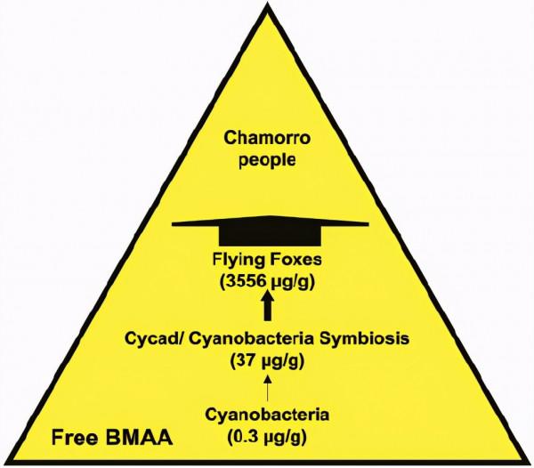 被剝奪體力、腦力甚至呼吸，都因為這道“傳統美食”