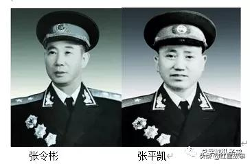 開國將軍中的“雙子星”