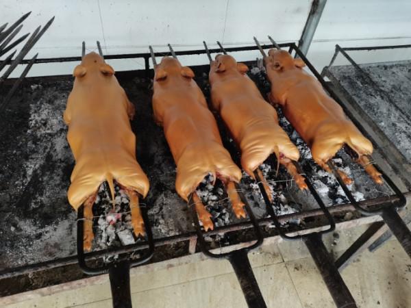 魚鱗洲烤乳豬（22&mdash;&mdash;54）