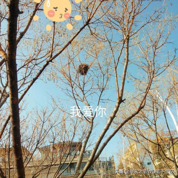 夢遇唐太宗李世民,魏徵站在一旁,聽我來直諫 夢遇唐太宗李世民,魏徵站在一旁,聽我來直諫