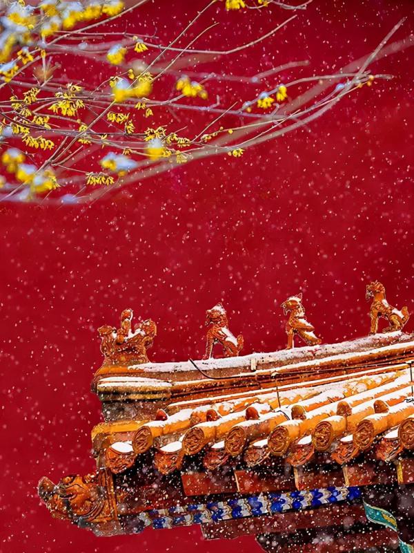 12月旅行推薦：10個人少景美的地方，用旅行給2021畫上句號吧