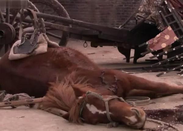 所以於正劇組虐貓了嗎