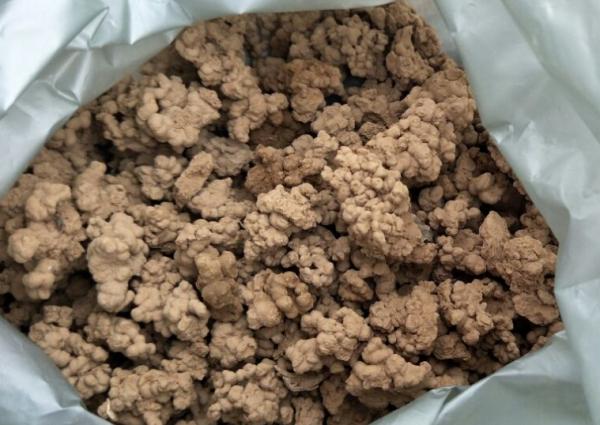 害怕土壤結塊？不用愁，將這些“養花好物”改造下，問題全解決