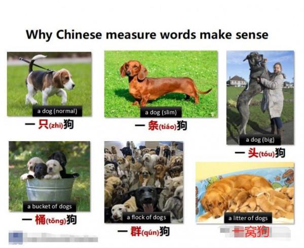 外國人的中文教材長啥樣？韓國教材“危險發言”，日本很接地氣