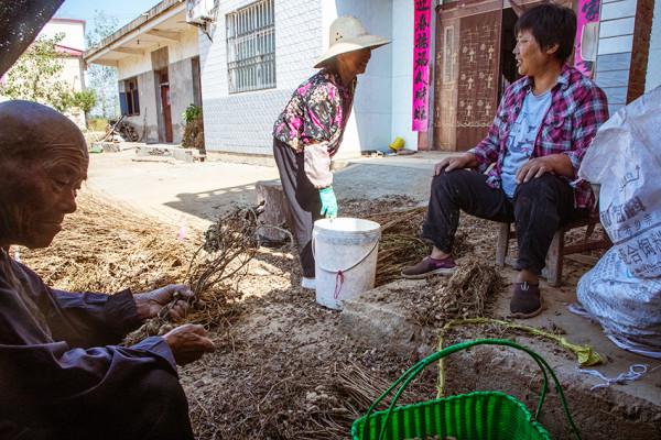 “將軍村”田園如畫，村民勤勞樸實，一幅畫面一首歌，聲聲醉人心
