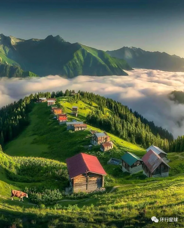 伊朗，這裡更滋潤