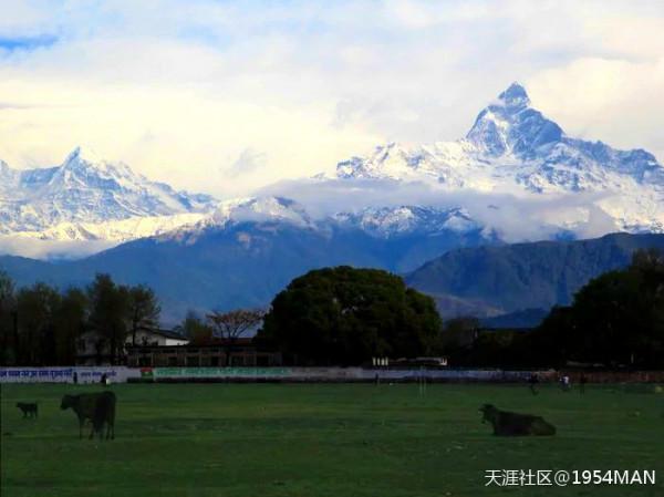 東歐尼泊爾俄羅斯土耳其希臘……退休後，陪你走過山高水長