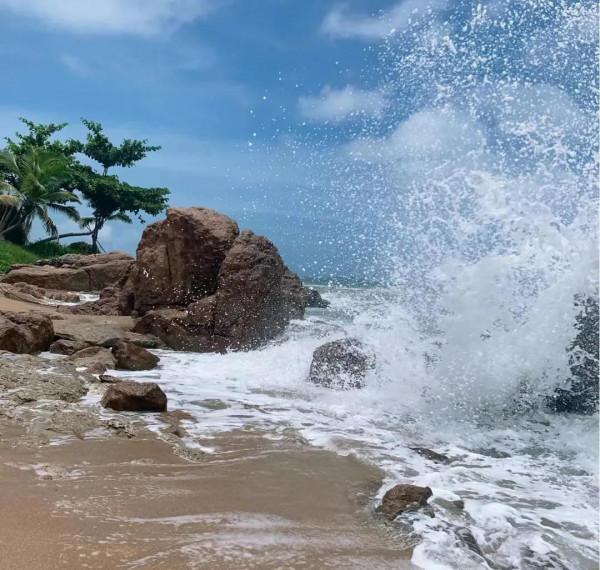 千萬富女的幾天 --浪跡天涯