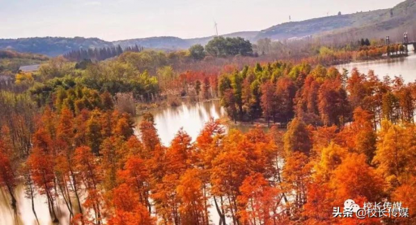 康紅舒:教育要滋養孩子的美好人性 康紅舒:教育要滋養孩子的美好人性